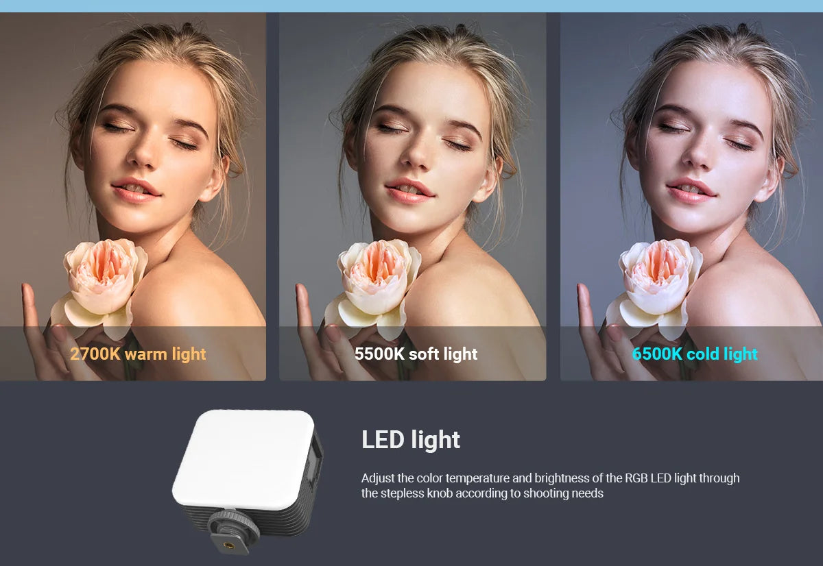 SmallRig Universal Phone Vlog Tripod Video Rig kit Case Cage with 2 Handle Microphone Light