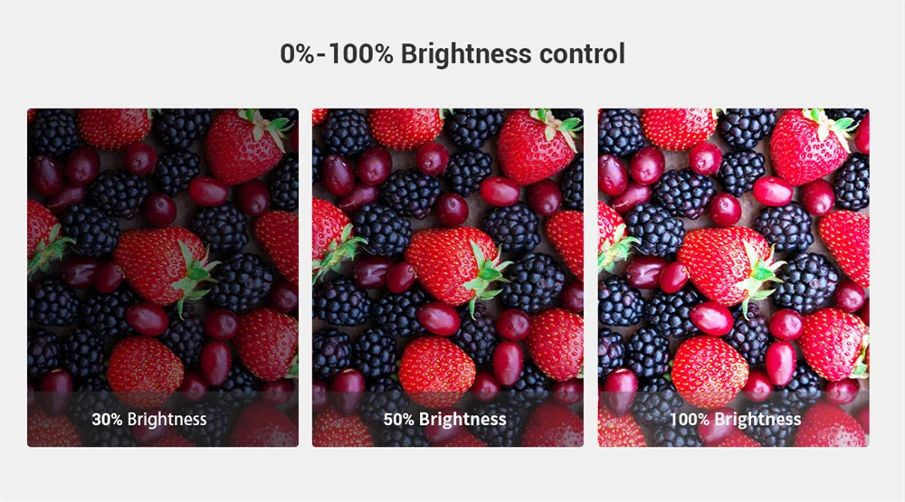 SmallRig P96 mini Video Light LED White Light