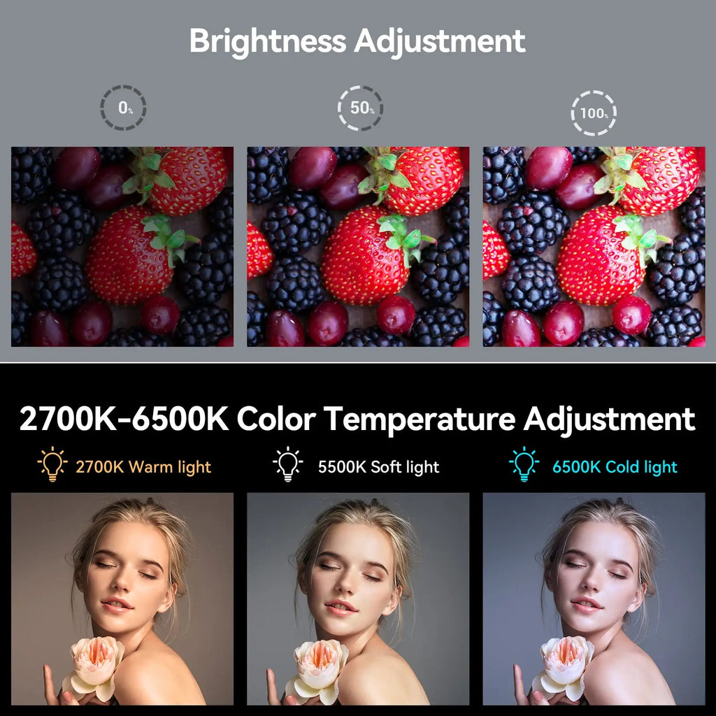 SmallRig P96 mini Video Light LED White Light